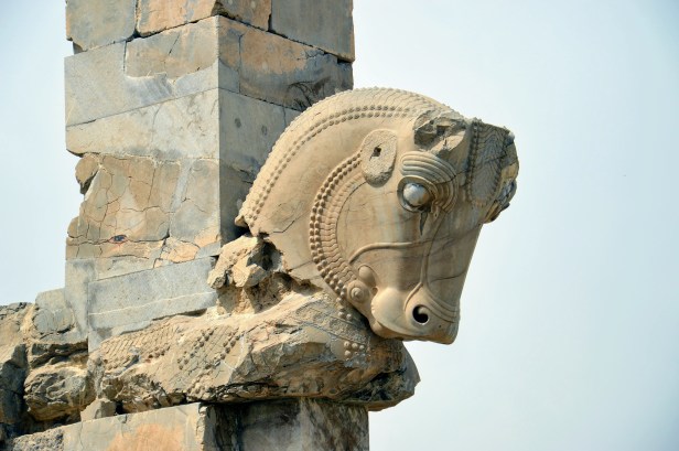 Persepoli, toro dell'achemenide.