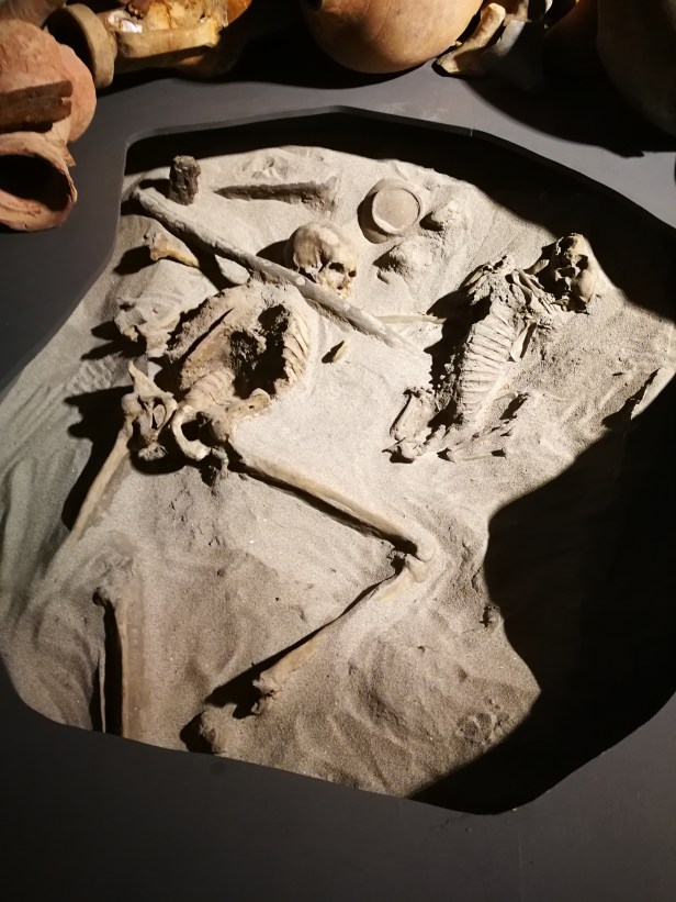 Il marinaio morto per salvare il suo cane.