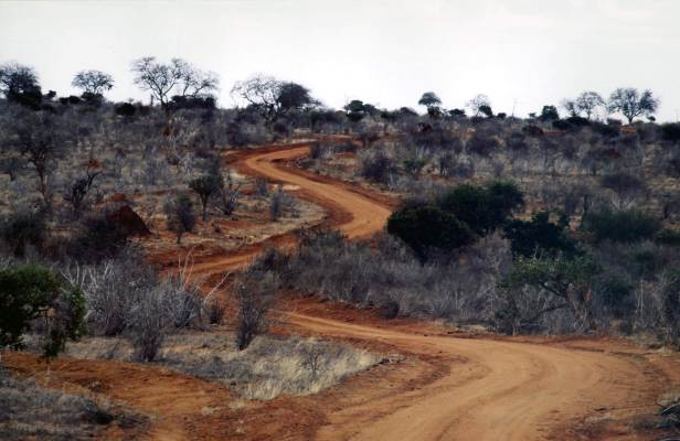 Tzavo Est Parco Nazionale.