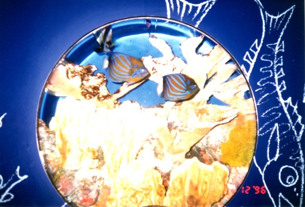 1996 Hayden Planetarium, Manhattan.