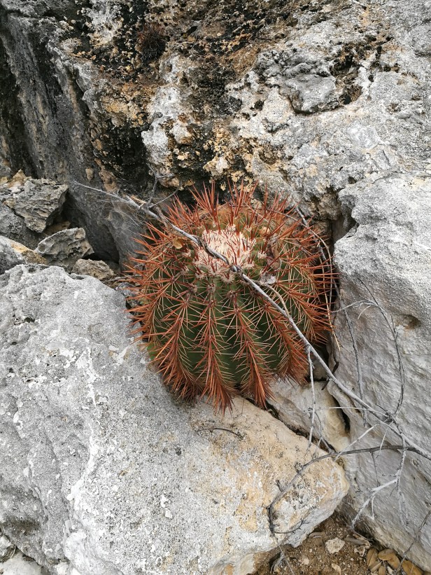 Arikok National park.