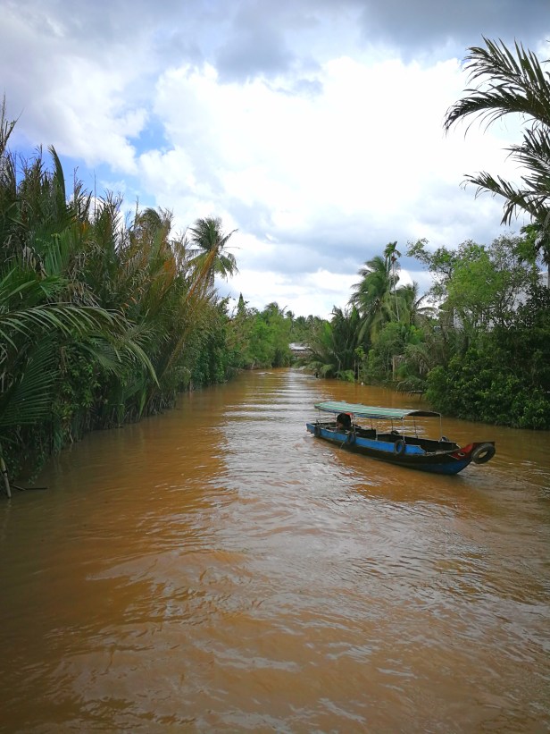 Delta Mekong.