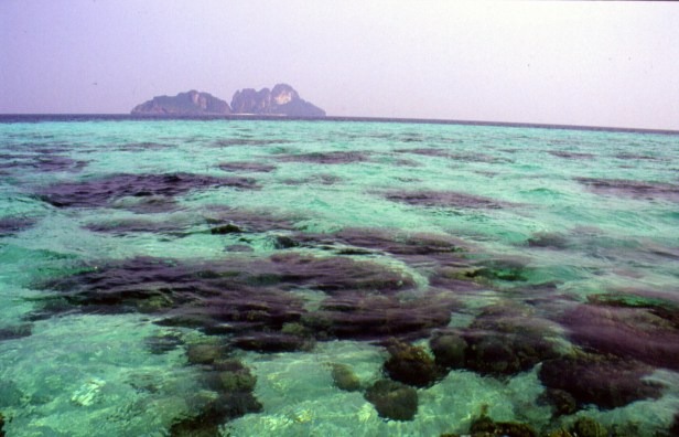 Phi Phi Island, ottobre 2004.