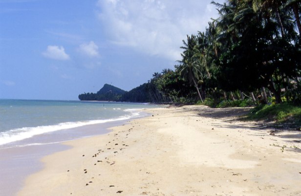 Bang po beach, Ko Samui, ottobre 2004.