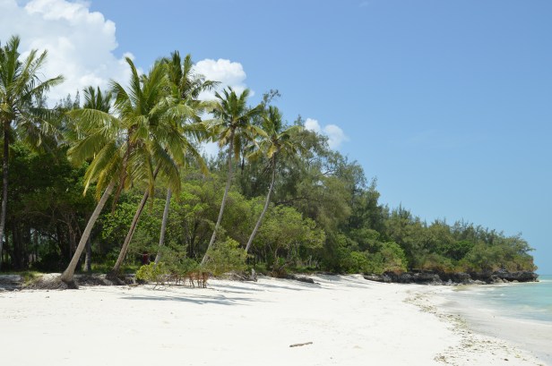 La spiaggia di Pongwe.