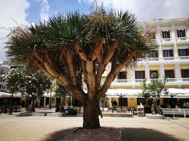 Plaza del Parque, Eivissa.
