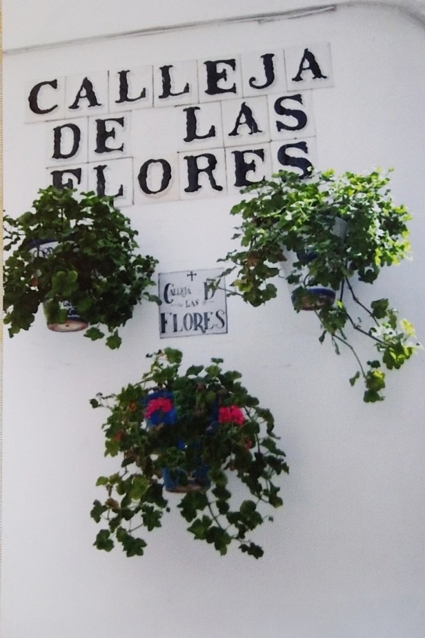 Calleja de las flores.