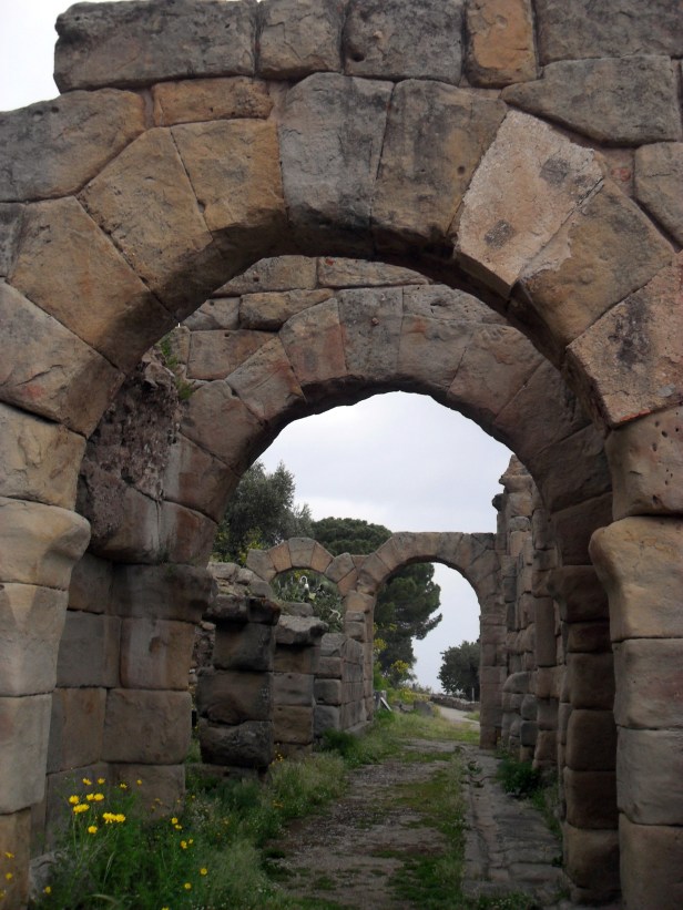 Basilica, Ginnasio di Tindari.