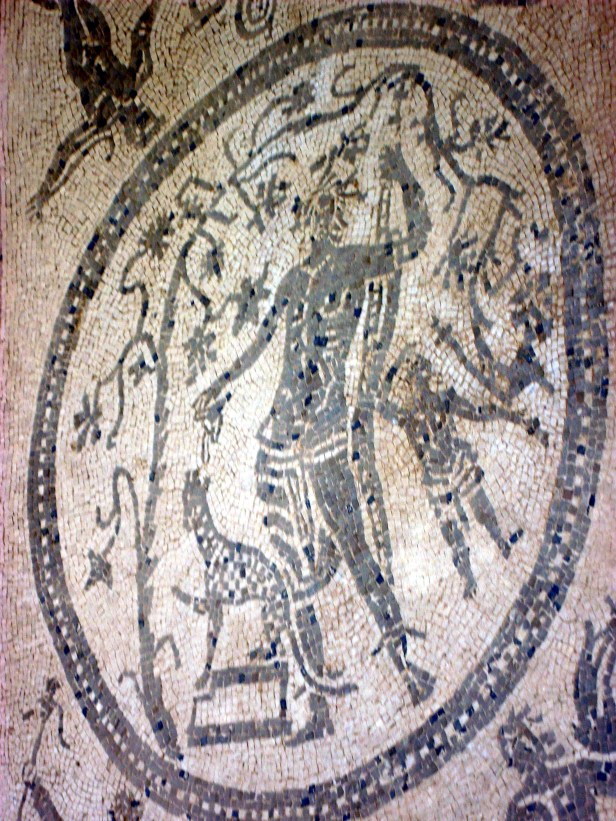 Mosaici villa romana, parco archeologico di Tindari.