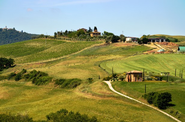 I vigneti della Val d'Orcia.
