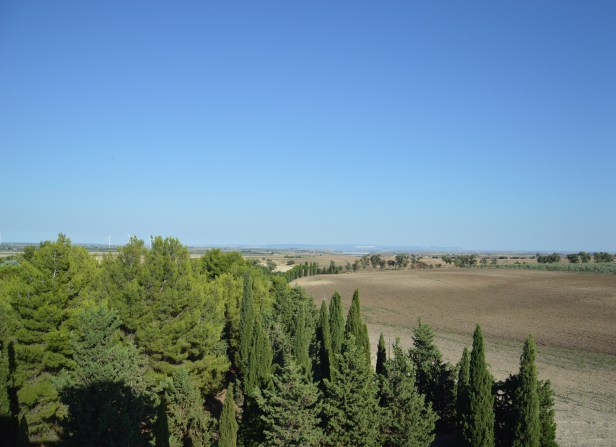 La vista della campagna dalla Torre.